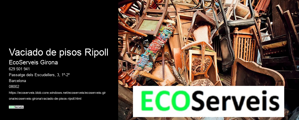 Vaciado de pisos Ripoll